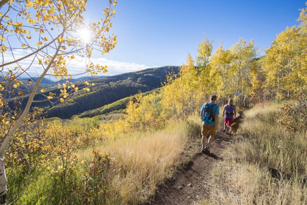 Couple hiking with their dog on sunny fall day