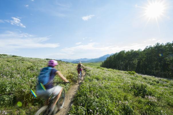 Two women mountain biking on sunny day