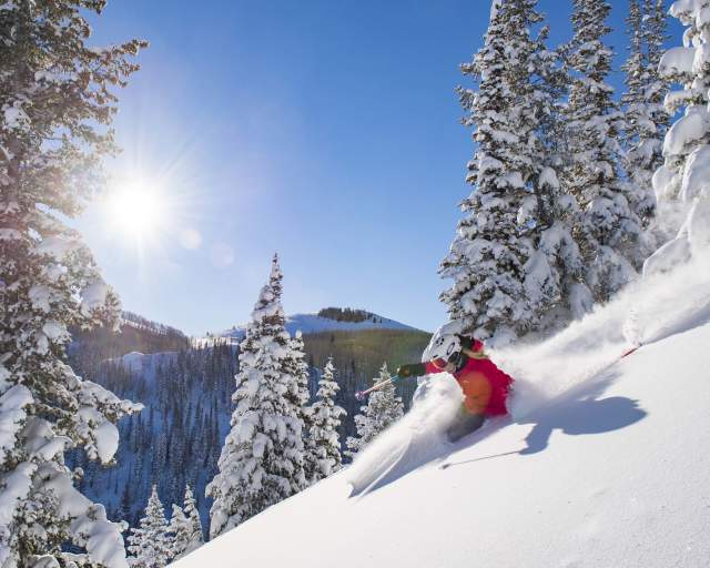 Woman in Pink Jacket skiing in powder on sunny day.