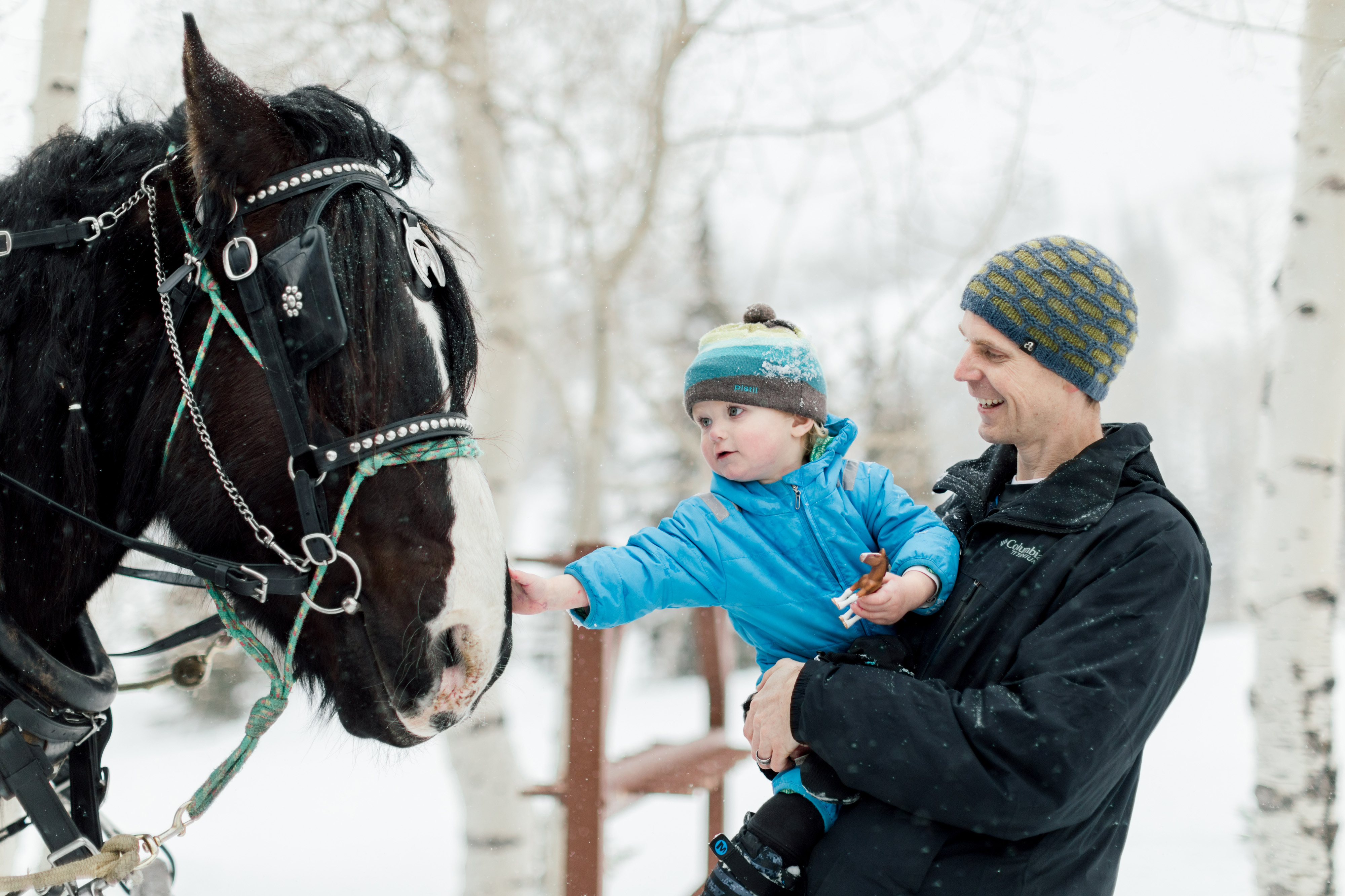 Little boy petting horse before sleigh ride at Deer Valley Resort