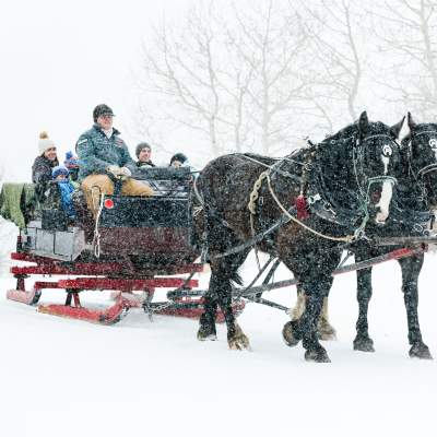 Experience a Magical Moment on a Family Sleigh Ride in Park City