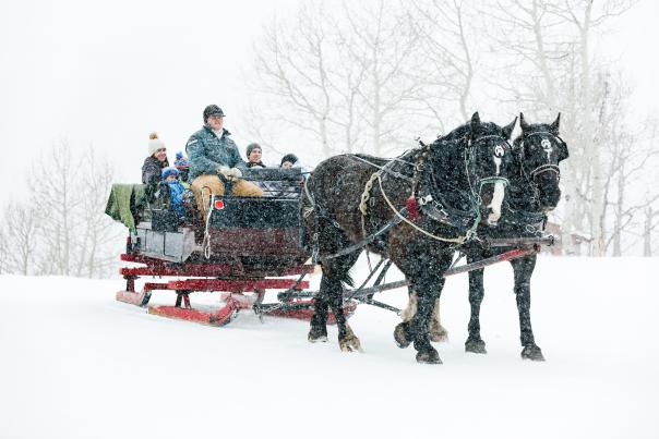 Boulder Mountain Ranch Sleigh Ride at Deer Valley Resort