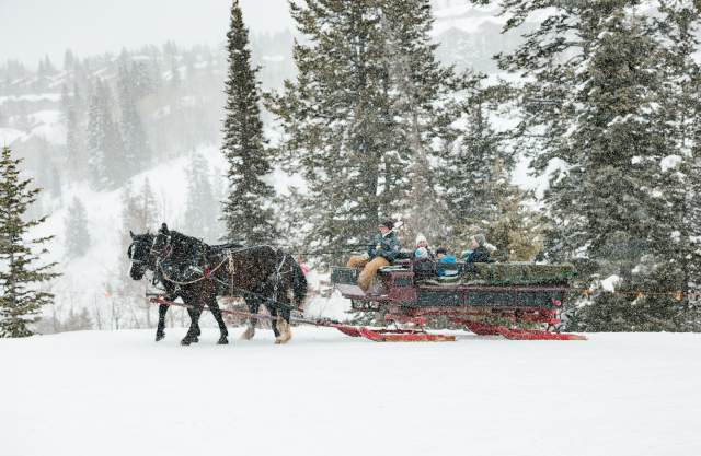 Family in a horse drawn sleigh on a snowy afternoon