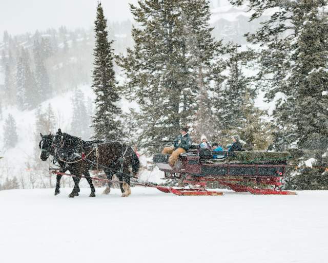 Family in a horse drawn sleigh on a snowy afternoon