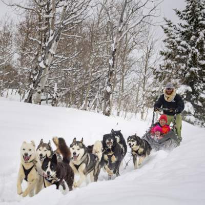 Dogs charging through fresh snow pulling sled with smiling mother and daughter.