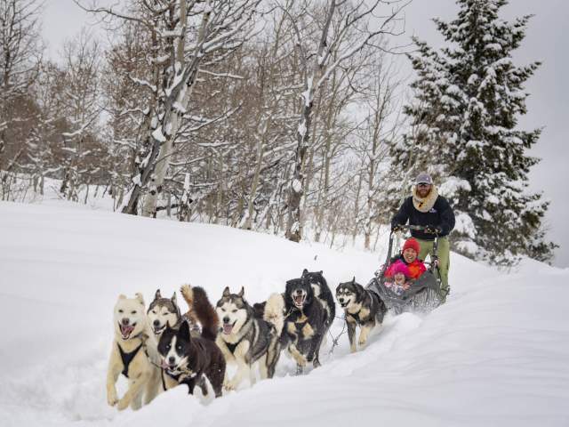 Dogs charging through fresh snow pulling sled with smiling mother and daughter.