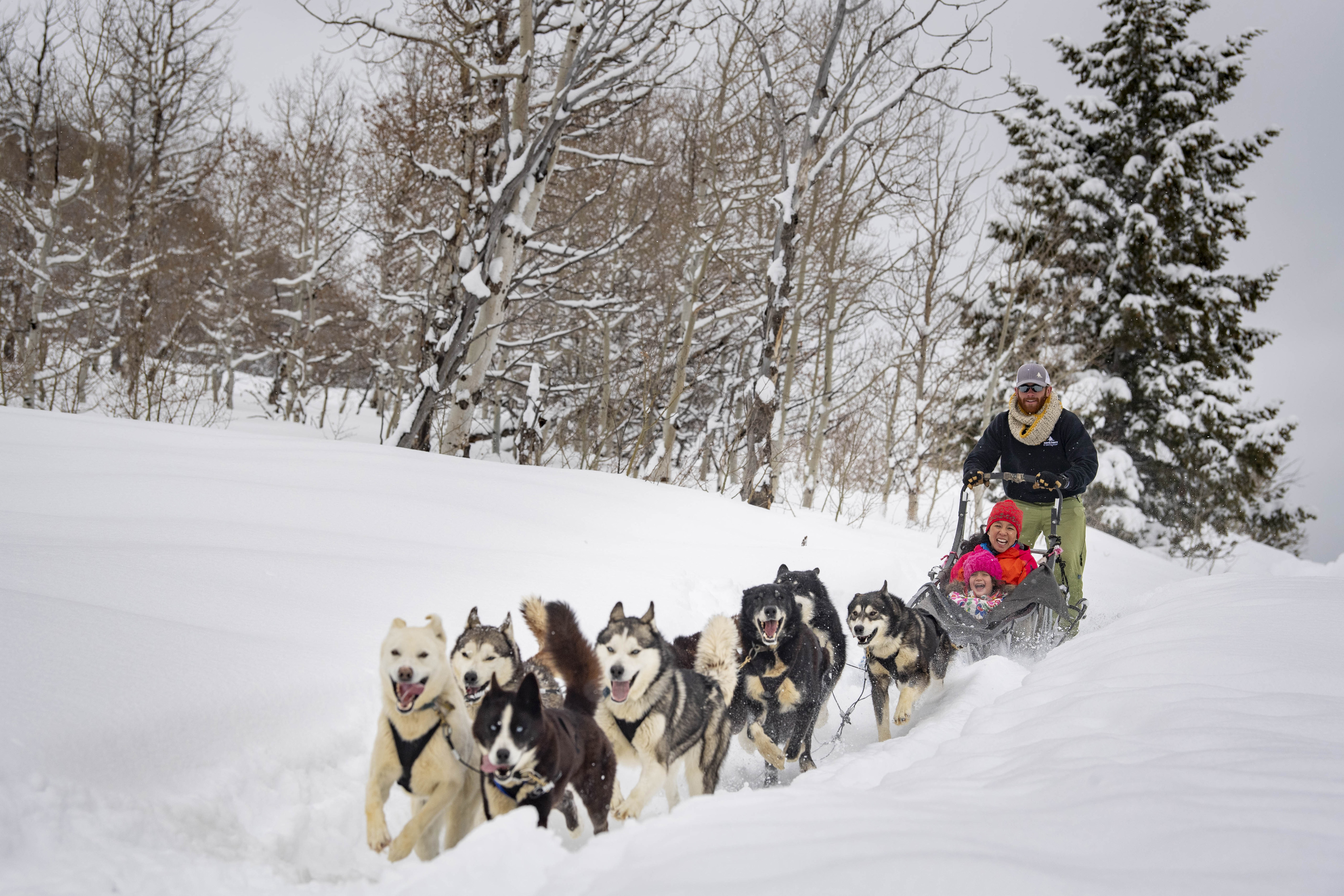 Dogs charging through fresh snow pulling sled with smiling mother and daughter.