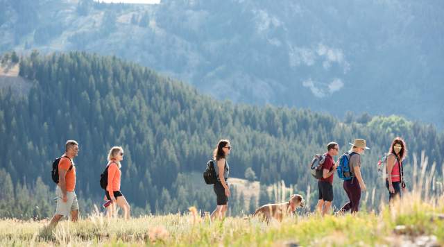 group of hikers with a dog from a distance