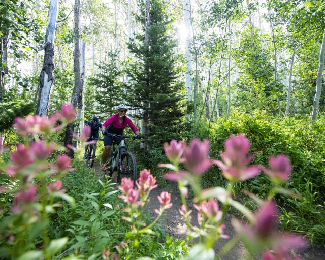 Couple mountain biking on trail with flowers in the foreground.