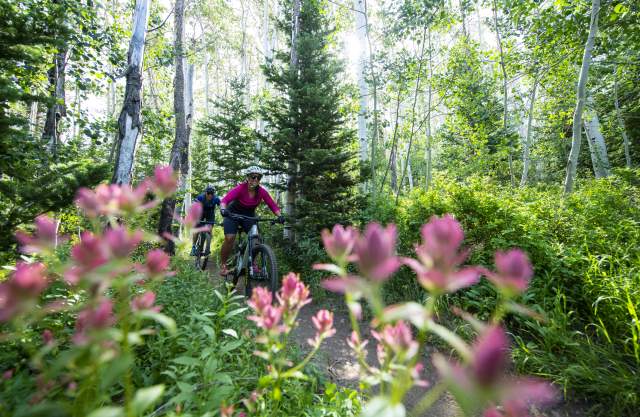 Couple mountain biking on trail with flowers in the foreground.