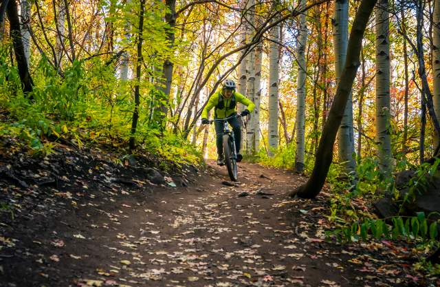 Man rinding Mountain Bike in the Fall