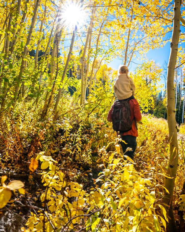 A girl rides on her dad's shoulders while hiking through fall leaves