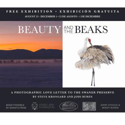 Beauty & the Beaks