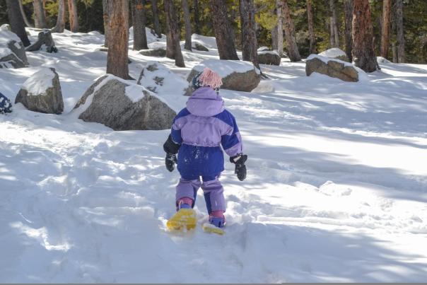 Small child Snowshoeing