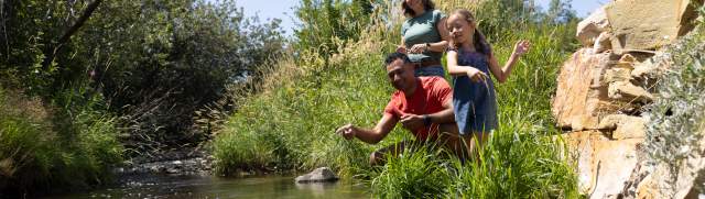 Family by a creek skipping stones