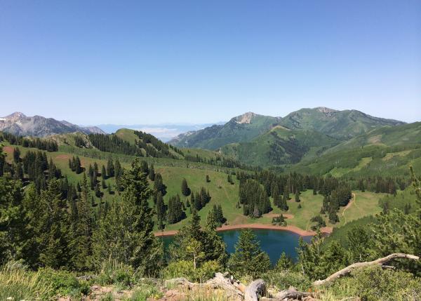 Crest Trail View