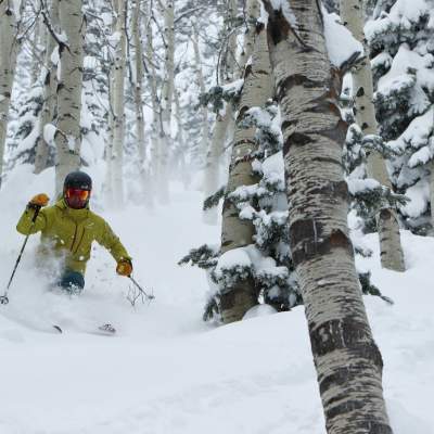 Man skiing through aspen grove on powder day