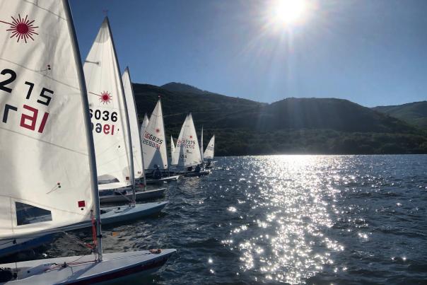 Group of sail boats lined up in the water