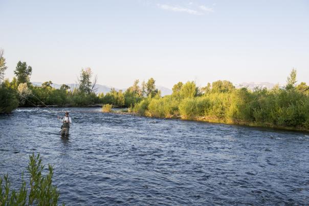 a single person Fly Fishing