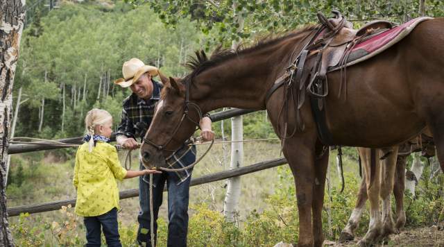 Girl Prepares to Ride a Horse