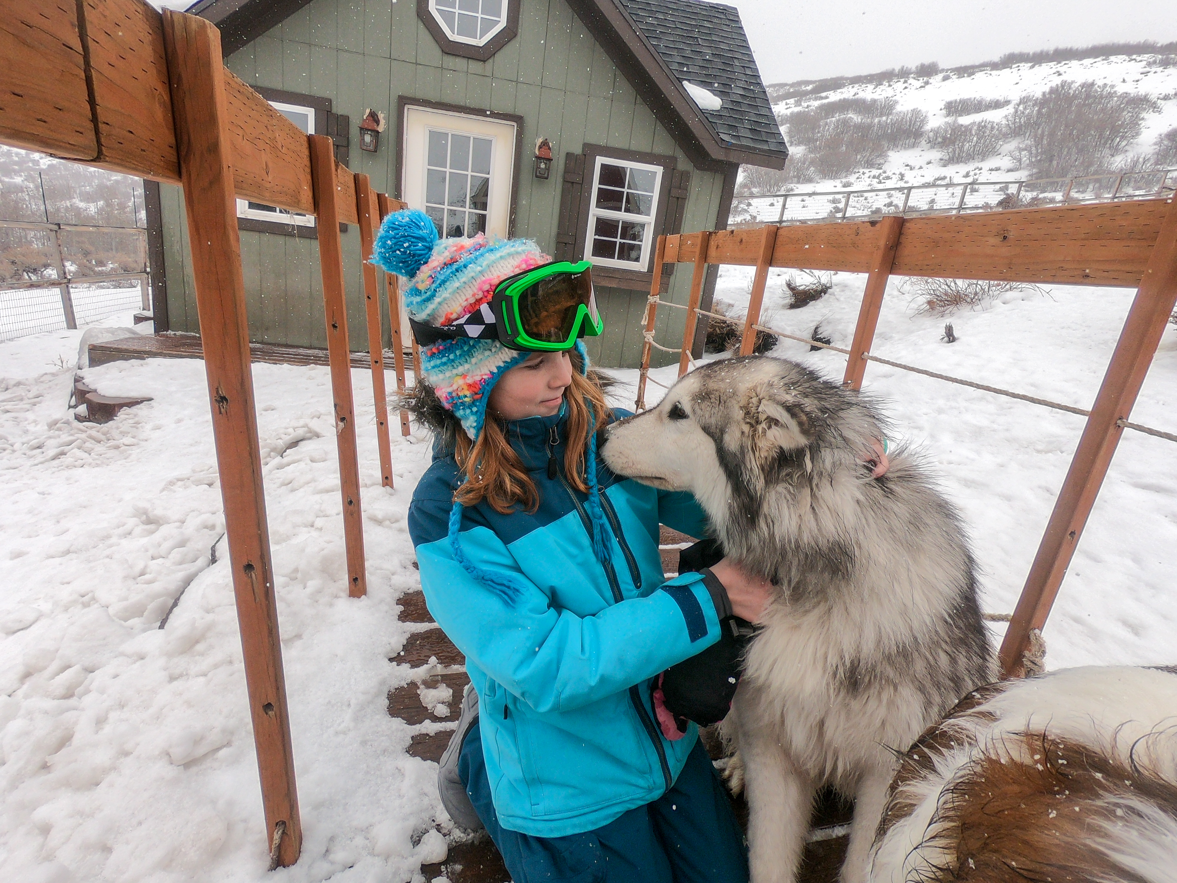 young girl petting a dog outside in the winter snow