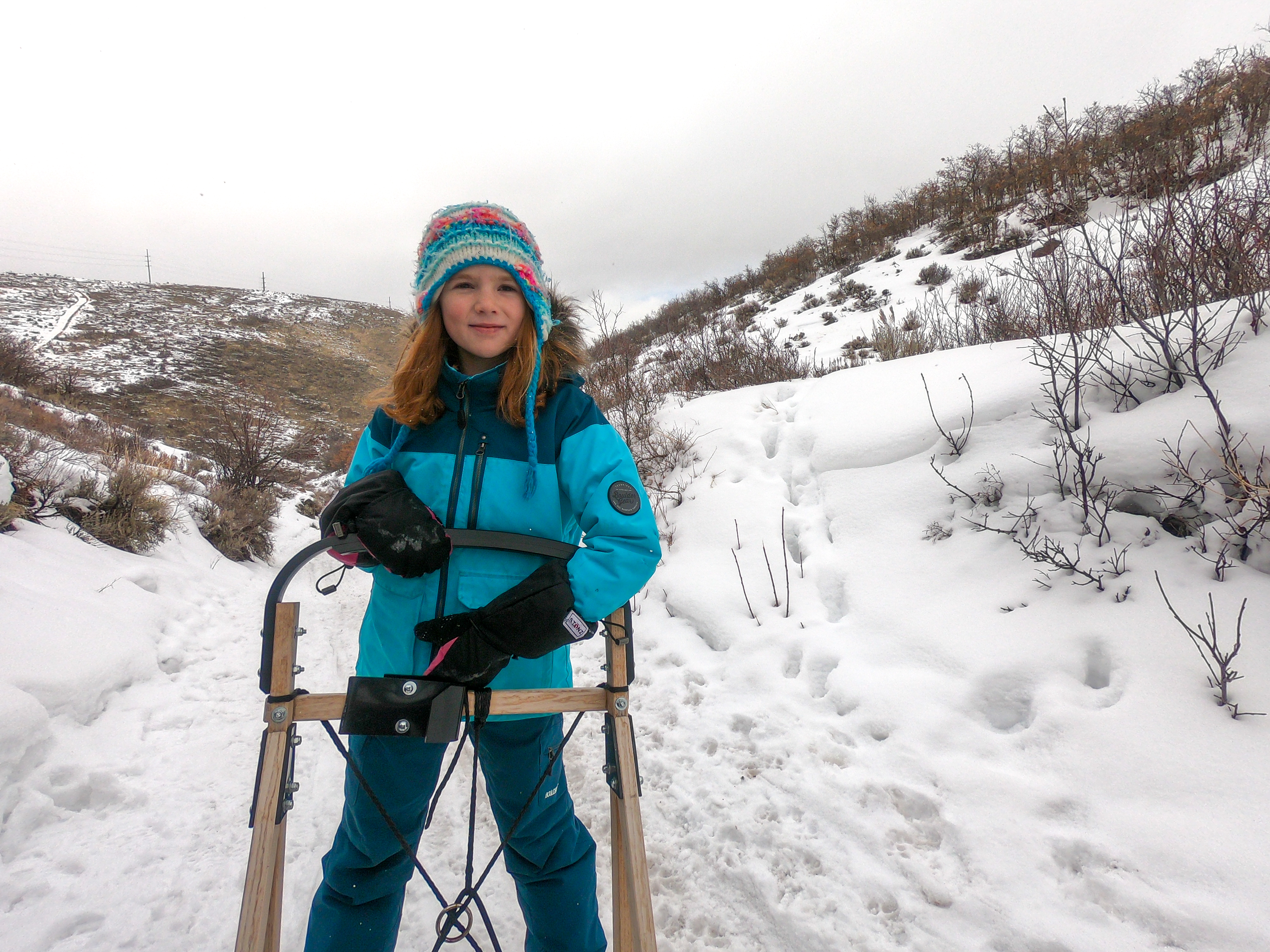 young girl on the back of a dog sled