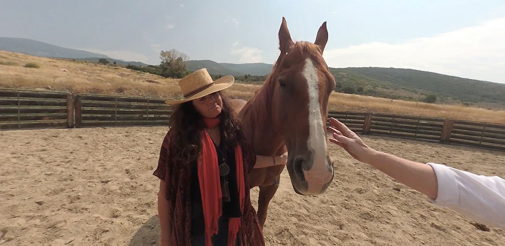 Horse Meditation