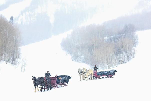 Two horse drawn sleighs ride through a snowy day.