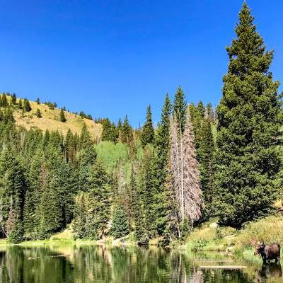 The Best Park City Day Hikes