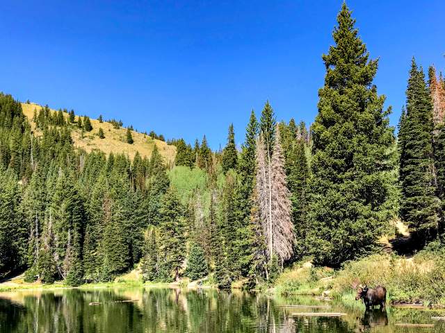 The Best Park City Day Hikes