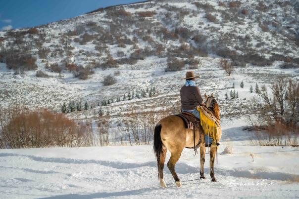 Man sitting on a horse in winter