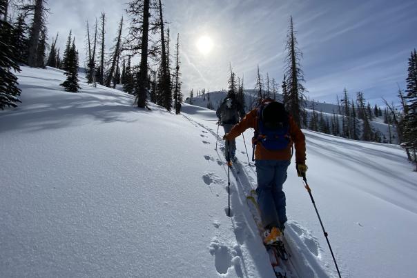 Two Backcountry skiers hiking up mountain on skis