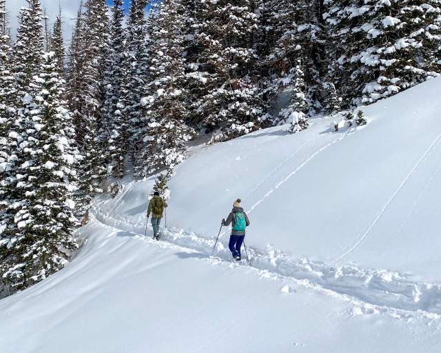 Two people entering forrest on snowshoe trail