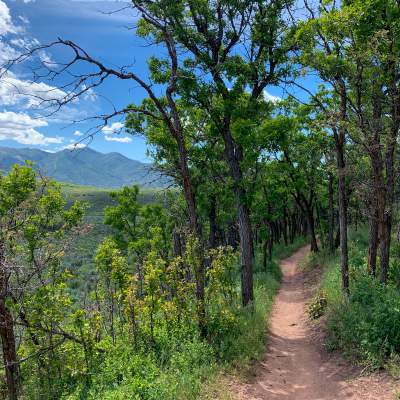 How Park City Maintains Award-Winning Trails