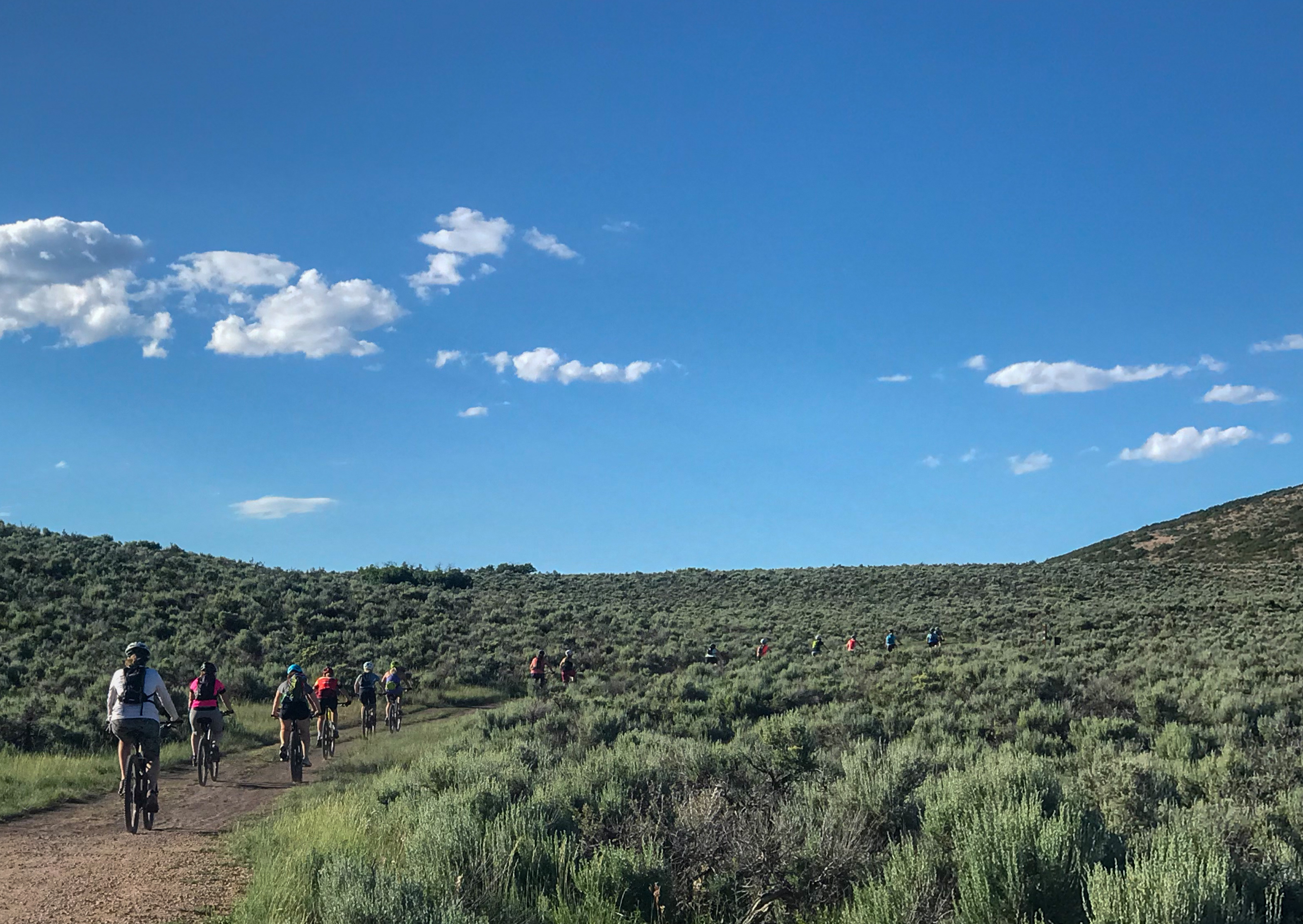 Group of mountain bikers ride along a trail