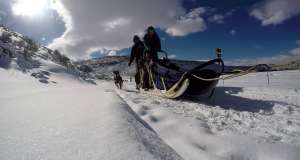 Park City First Timers: Dog Sledding