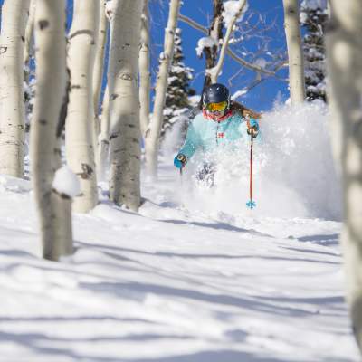 Woman skiing through aspen grove on a powder day