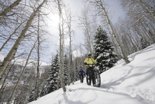 Fat biking in aspen trees near Park City, UT