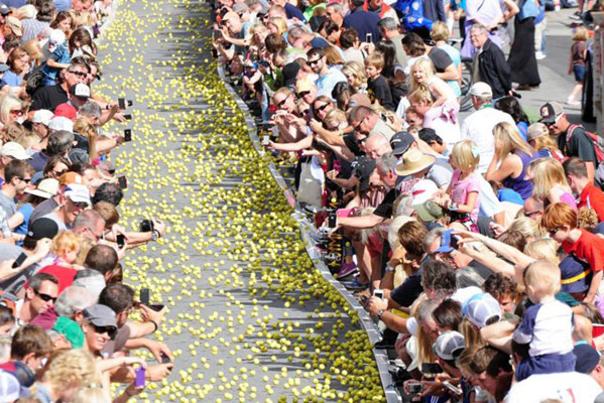 Golf balls rolling down Park City Main Street during the running of the balls event on Miner's Day