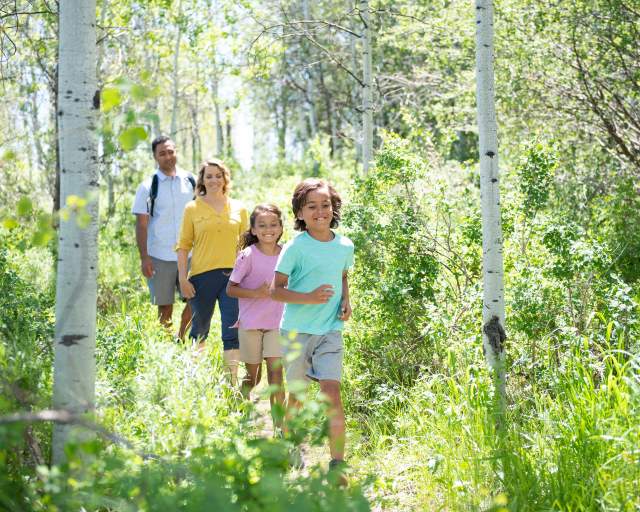 Family Hiking through Aspen trees