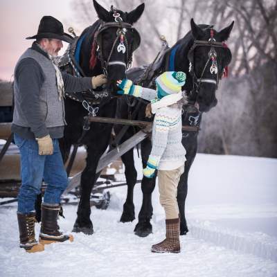 Horse Drawn Sleigh at Stillman Ranch