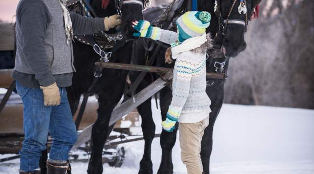 Horse Drawn Sleigh at Stillman Ranch