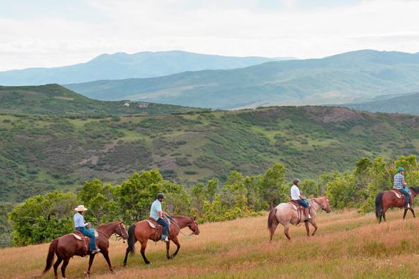 Copy of Horseback Riding