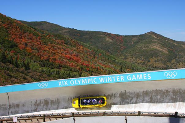 Summer Bobsled with wheels on a bobsled track