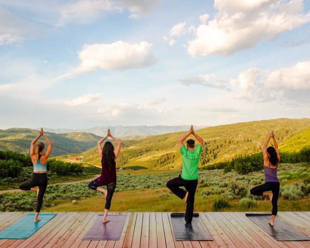 Wellness Yoga with a View